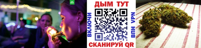 Конопля семена Западная Двина